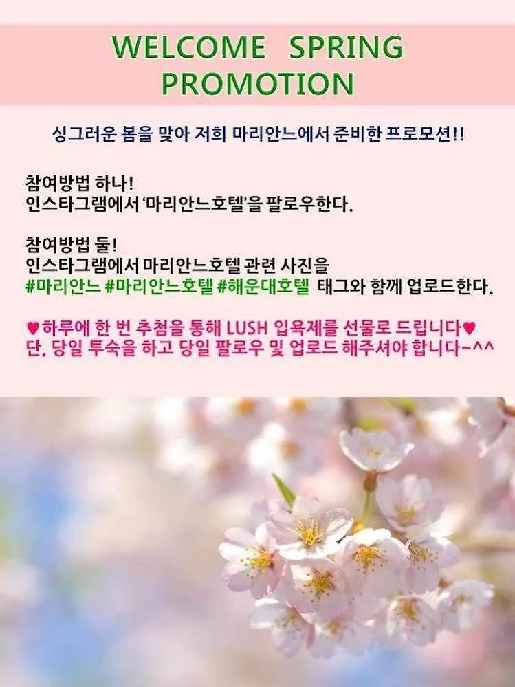 Haeundae Marianne Hotel Busan 3*,